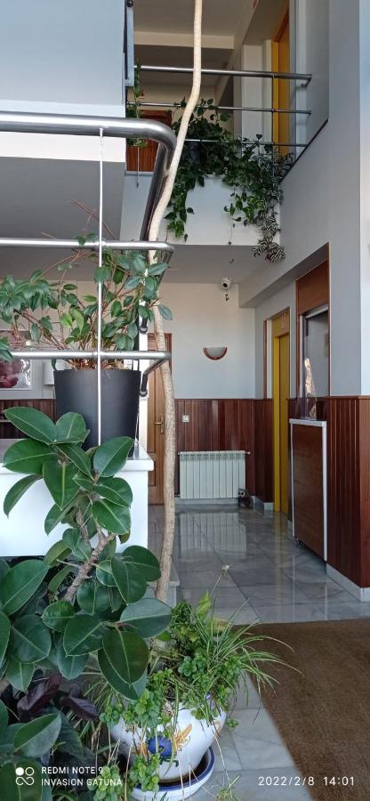 Hotel Narcea Valles  Exteriér fotografie
